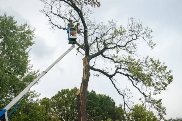 Soil Testing and Treatment in Unionville, NC