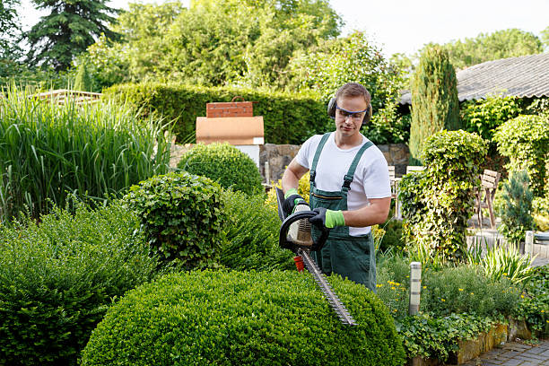 Artificial Turf Installation